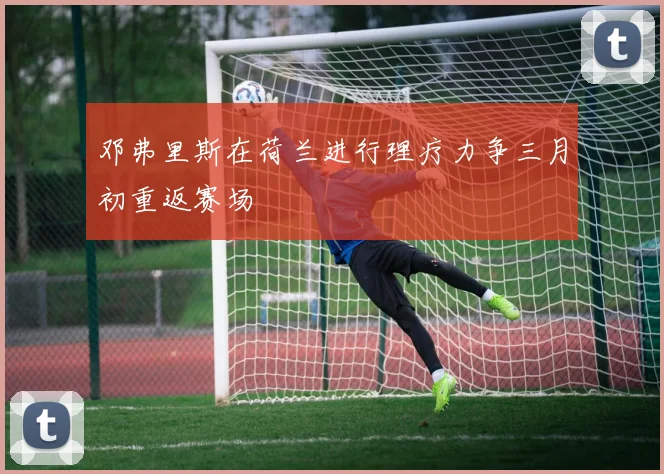 邓弗里斯在荷兰进行理疗力争三月初重返赛场