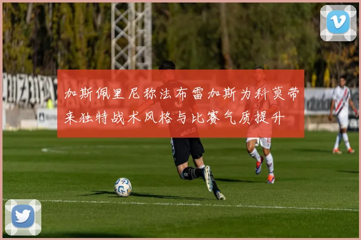 加斯佩里尼称法布雷加斯为科莫带来独特战术风格与比赛气质提升