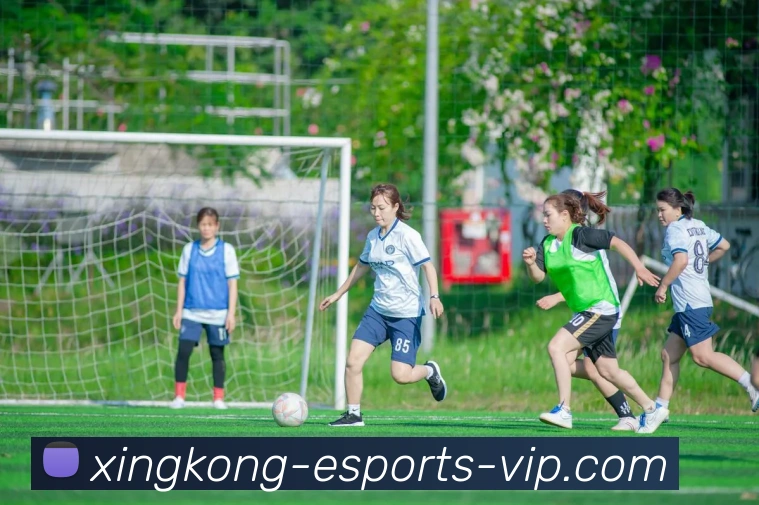 星空电竞服务体系